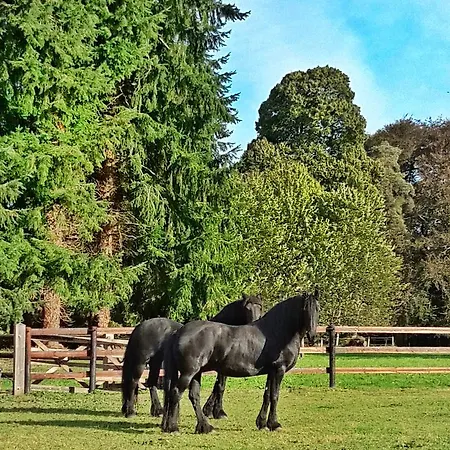 Semesterbostad L'orangerie
