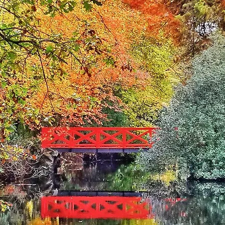 L'orangerie 펜션 *