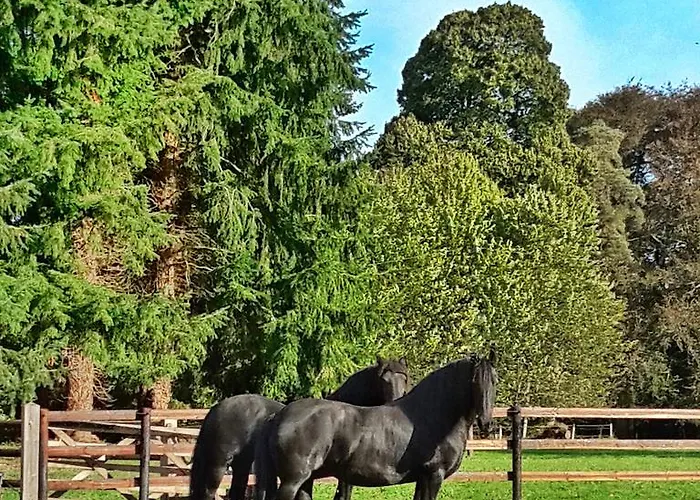 Ferienhaus L'orangerie